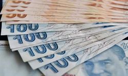 Kocaeli'nde ustasını bulmak zorlaştı! Günlük kazançları dudak uçuklatıyor