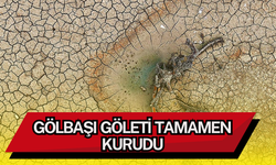 Bursa Kestel’de Gölbaşı Göleti kurudu