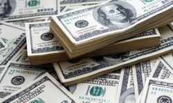 Dolar 50 lirayı görecek mi? Yeni tahmin duyuruldu!