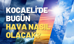 Kocaeli'de haftanın ilk günü kavurucu sıcaklık ve nem tablosu: Saat saat yeni zirveler!