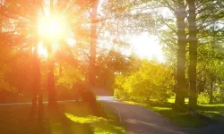 Meteoroloji'den Kocaeli İçin Sıcaklık Uyarısı: 6 Haziran Cumartesi Hava Durumu Netleşti!
