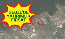 Gebze Hatipler’de Yatırımlık Fırsat: İcradan Satılık İki Dev Arazi!