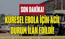 Dünya Sağlık Örgütü En Üst Kırmızı Alarmı Verdi: Küresel Ebola Acil Durumu İlan Edildi!