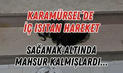 İtfaiye Ekiplerinden Isıtan Hareket: Karamürsel’de Sağanak Altında 4 Yavru Kediye Şefkat Eli