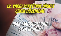 12. Yargı Paketi’nde Dikkat Çeken Düzenleme: IBAN Mağdurlarına Ceza İndirimi