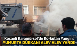 Kocaeli Karamürsel'de Korkutan Yangın: Yumurta Dükkanı Alev Alev Yandı!
