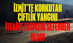 İzmit'te Korkutan Çiftlik Yangını: İtfaiye Ekipleri Seferber Oldu!
