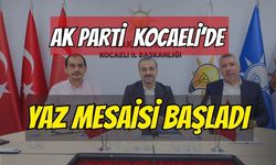 AK Parti Kocaeli’de Yaz Mesaisi Başladı! Şahin Talus: “Teşkilatımızın Her Kademesiyle Sahadayız”