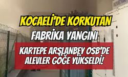 Kocaeli'de Korkutan Fabrika Yangını: Kartepe Arslanbey OSB'de Alevler Göğe Yükseldi!
