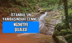 İstanbul'un Yanı Başındaki Cennet: Nüzhetiye Şelalesi Haziranda Bir Başka Güzel