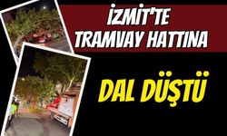 İzmit'te tramvay hattına dal düştü: Seferler aksadı