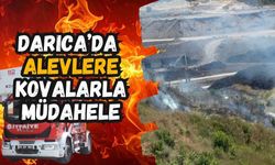 Darıca'da Alevlere Kovalarla Müdahale: Tatilcilerin Bilinci Faciayı Önledi