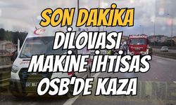 Dilovası Makina İhtisas OSB'de Kaza! Otomobil Ağaçlara Çarptı: Yaralılar Var