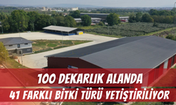 Kocaeli'de 100 Dekarlık Alanda 41 Farklı Bitki Türü Yetiştiriliyor