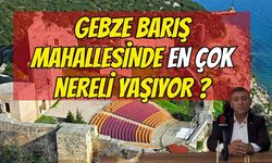Gebze Barış Mahallesi’nde Kültürel Mozaik: Doğu Anadolu ve Karadeniz’den Yoğun Yerleşim