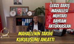 Gebze Barış Mahallesi’nin Bilinmeyen Tarihi: Dünden Bugüne Büyük Değişim
