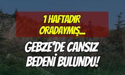 Yürüyüşe Çıkanlar Fark Etti: Gebze'de Yaşlı Adamın Cansız Bedeni Bulundu!