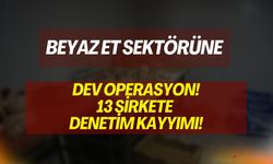 Beyaz Et Sektöründe Dev Operasyon: 13 Şirkete Denetim Kayyımı Atandı!