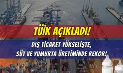 TÜİK Son Dakika: Dış Ticaret Haddi 90,1’e Yükseldi, Süt ve Yumurta Üretiminde Rekor Artış!