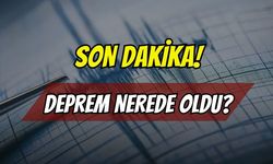 Düzce'nin Ardından Bu Kez Ege Sallandı! Sarsıntı Çevre İllerde Hissedildi