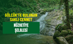 İstanbul'un Yanı Başındaki Cennet: Nüzhetiye Şelalesi Haziranda Bir Başka Güzel