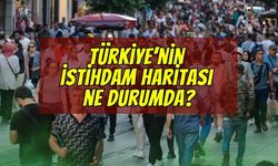 TÜİK Açıkladı: Türkiye'nin İstihdam Haritası Ne Durumda?