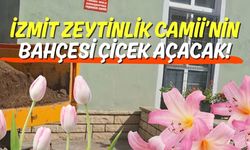 İzmit Zeytinlik Camii’nin Bahçesi Çiçek Açacak