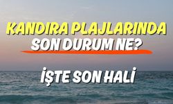 Kandıra Plajlarında Son Durum Ne? İşte Son Hali