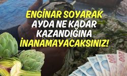 Enginar Soyarak Ayda Ne Kadar Kazandığına İnanamayacaksınız