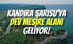 Kandıra’da Tatil Yapmak İsteyenlere Müjde: Sarısu Mesire Alanı 2027’de Hizmete Giriyor
