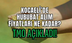 2026 Yılı TMO Hububat Alım Fiyatları Açıklandı