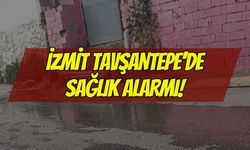 İZMİT TAVŞANTEPE’DE SAĞLIK ALARMI! 5 GÜNDÜR KANALİZASYON AKIYOR, MAHALLELİ İSYANDA!