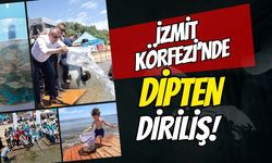 İzmit Körfezi’ne Dipten Diriliş Hamlesi: 100 Yapay Resif ve 6 Bin Değerli Balık Denize Bırakıldı!