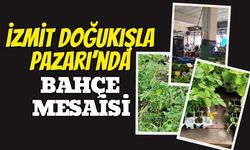 İzmit Doğu Kışla Pazarı'nda Bahçe Mesaisi: Fideler Tezgahlarda