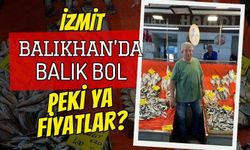 İzmit Balıkhan'da Balık Bol, Fiyatlar Dengeli: İşte Fiyat Listesi