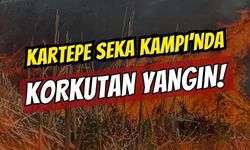 Kartepe SEKA Kampı’nda Korkutan Yangın: 10 Dönümlük Sazlık Alan Kül Oldu!