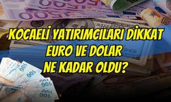 7 Haziran Pazar Kocaeli Döviz Fiyatları: Hangi Para Birimi Ne Kadar Oldu? İşte Tam Liste