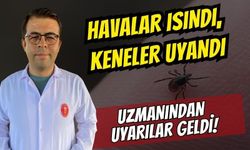 Havalar Isındı, Keneler Uyandı: Piknikçilerin ve Evcil Hayvan Sahiplerinin Alması Gereken Önlemler