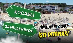 Kocaeli Sahillerinde Yeni Sezon Açıldı! İşte İlçe İlçe Güncel Plaj, Otopark ve Kamp Ücretleri