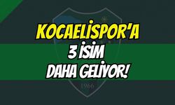 Kocaelispor Yönetiminden Zamana Karşı Yarış: 3 Yeni Transfer Sezon Öncesi Kampına Yetişiyor