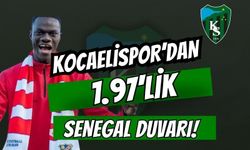 Kocaelispor’dan 1.97'lik Senegal Duvarı! Avrupa’nın Peşindeki Mame Alassane Niang Körfez'in Radarında