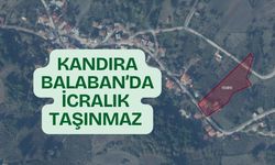 Kandıra Balaban'da İcralık taşınmaz: 4.679 Metrekarelik Dev arsa 12.6 Milyon TL’ye Satışa Çıktı!