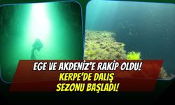 Ege ve Akdeniz'e Kocaeli Rakip Oldu! Kandıra Kerpe'de Dev Dalış Sezonu Resmen Başladı