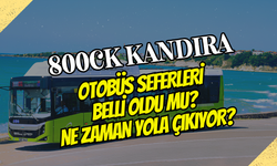 800CK Kandıra Otobüs Saatleri Belli Oldu mu? Hafta İçi ve Hafta Sonu Seferleri