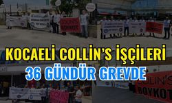 Kocaeli Colin's İşçileri 36 Gündür Grevde