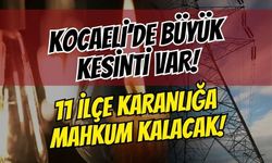 SEDAŞ Planlı Elektrik Kesintisi Listesi Açıklandı! İşte Kocaeli'de Elektriği Kesilecek Mahalleler