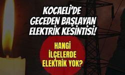 SEDAŞ Planlı Kesinti Listesini Açıkladı: 9 Haziran Salı Günü Kocaeli'de Hangi Mahallelerde Elektrik Kesilecek?