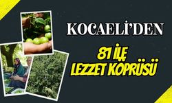 Kocaeli'den 81 İle Lezzet Köprüsü: Ünlü Eşme Eriğinde "Kastarca" Mesaisi ve Güncel Bahçe Fiyatları