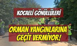 Kocaeli Gönüllüleri Orman Yangınlarına Geçit Vermiyor
