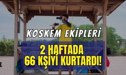 Kocaeli Sahillerinin Kahramanları KOSKEM Ekipleri İki Haftada 66 Vatandaşı Boğulmaktan Kurtardı!